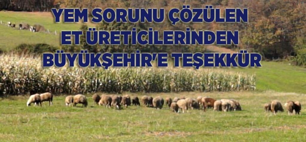Samsun Büyükşehir Belediyesi'ne 'Yem' teşekkürü