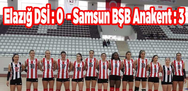 Samsun Büyükşehir Elazığ DSİ'yi evinde yendi