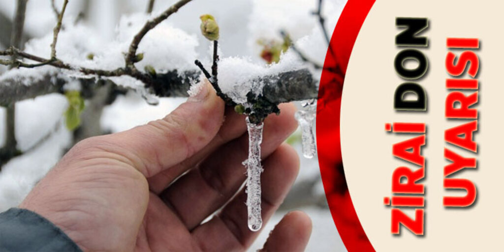 Samsun için zirai don uyarısı