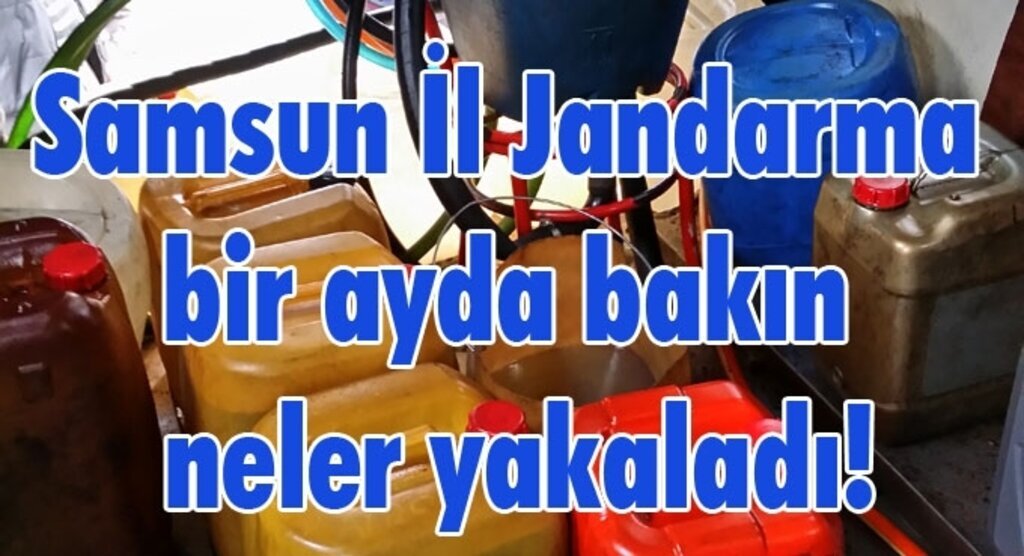 Samsun İl Jandarma bir ayda bakın neler yakaladı!