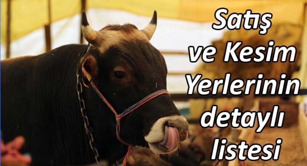 Samsun Kurban Satış ve Kesim Yerlerinin listesi