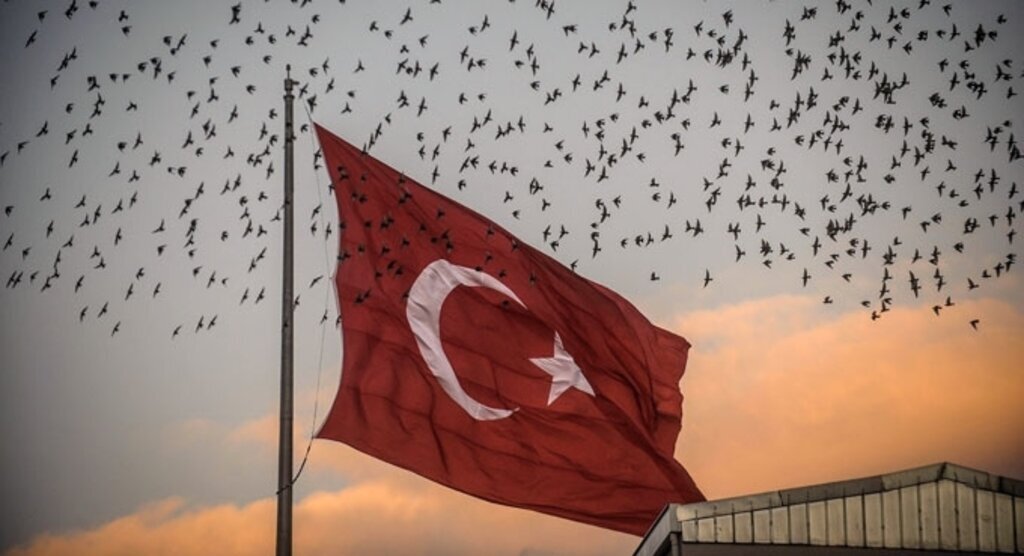 Samsun semalarında sığırcıkların dansı