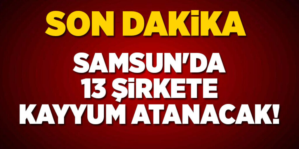Samsun'da 13 şirkete kayyum atanacak