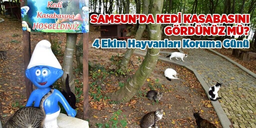 Samsun'da 4 Ekim Hayvanları Koruma Günü etkinliği
