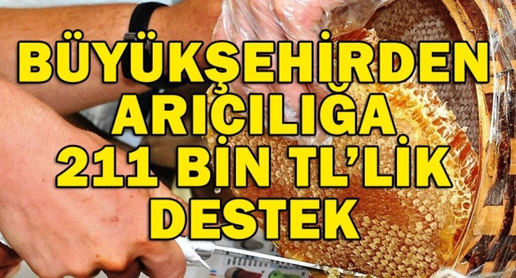 Samsun'da arıcılara büyük destek