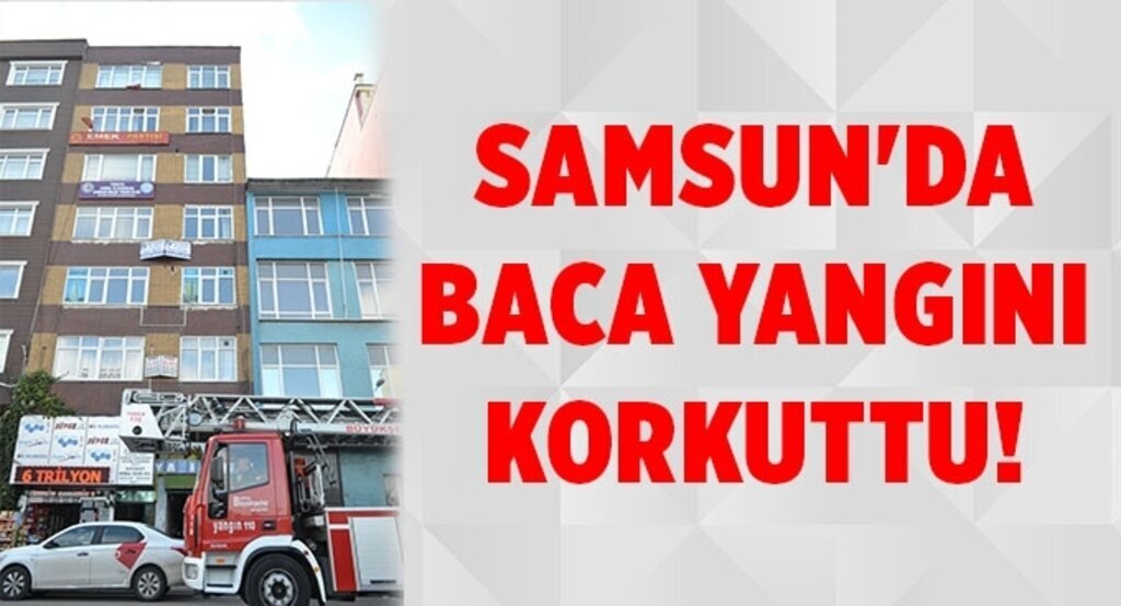 Samsun'da baca yangını korkuttu