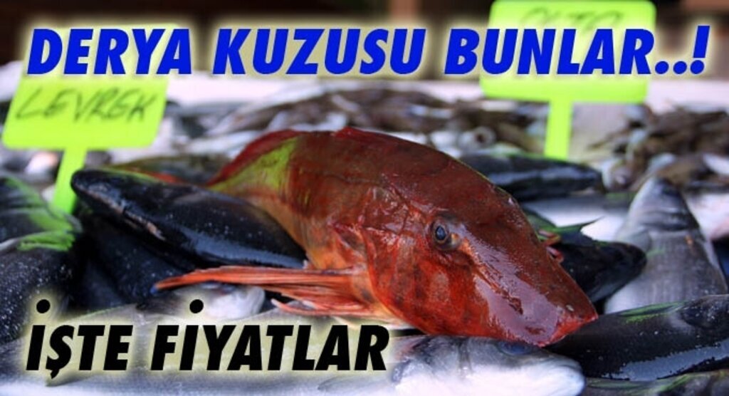 Samsun'da balık fiyatları ne kadar? Samsun Balık Hali Fiyatları ne kadar?