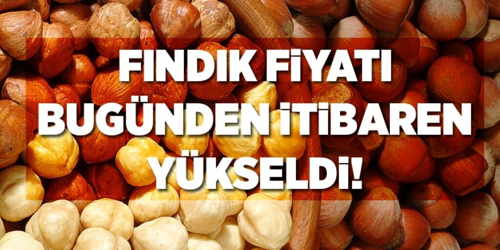 Samsun'da fındık 12 lira