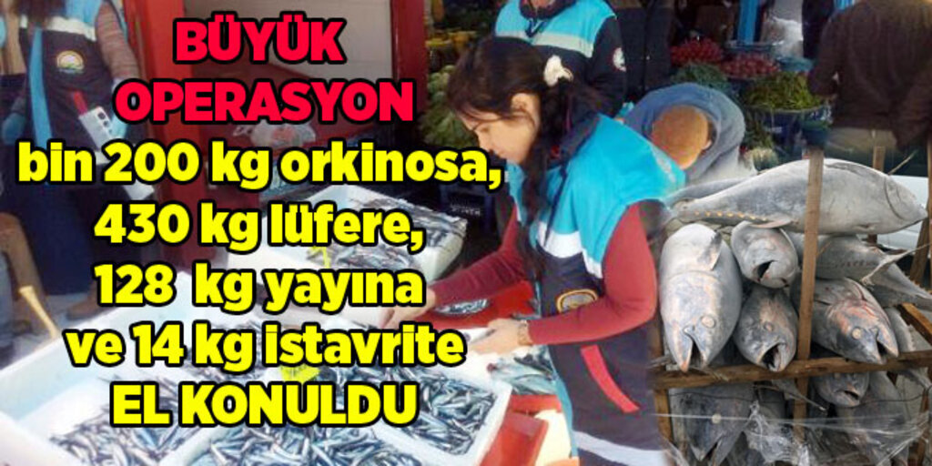 Samsun'da kaçak avlanan su ürünlerine operasyon