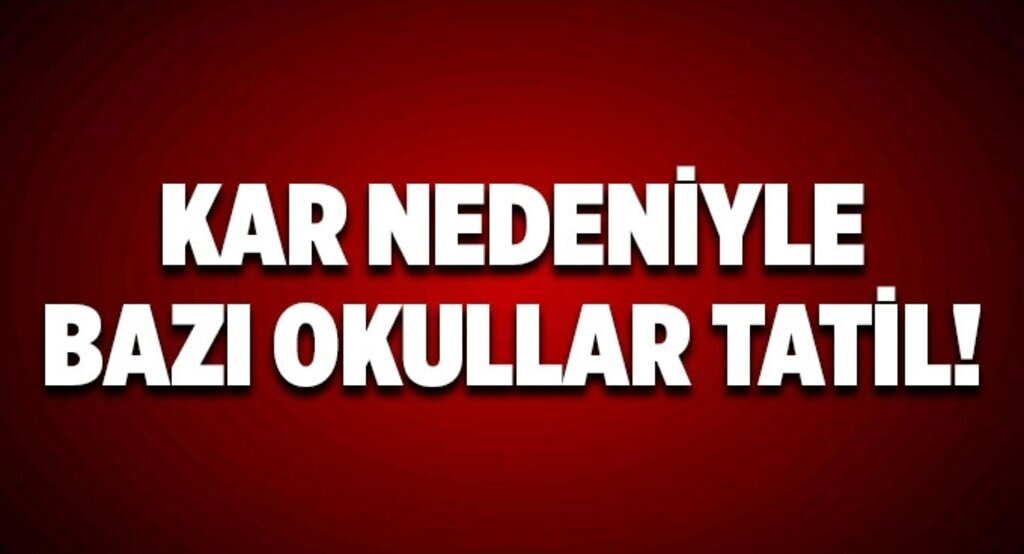 Samsun'da kar nedeniyle bazı okullar tatil