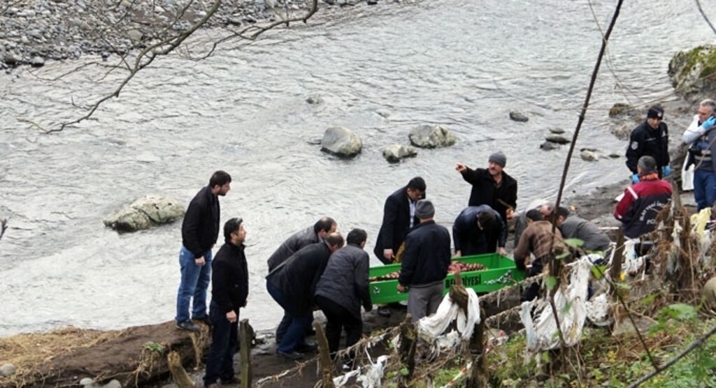 Samsun'da kayıp kadının cesedi derede bulundu