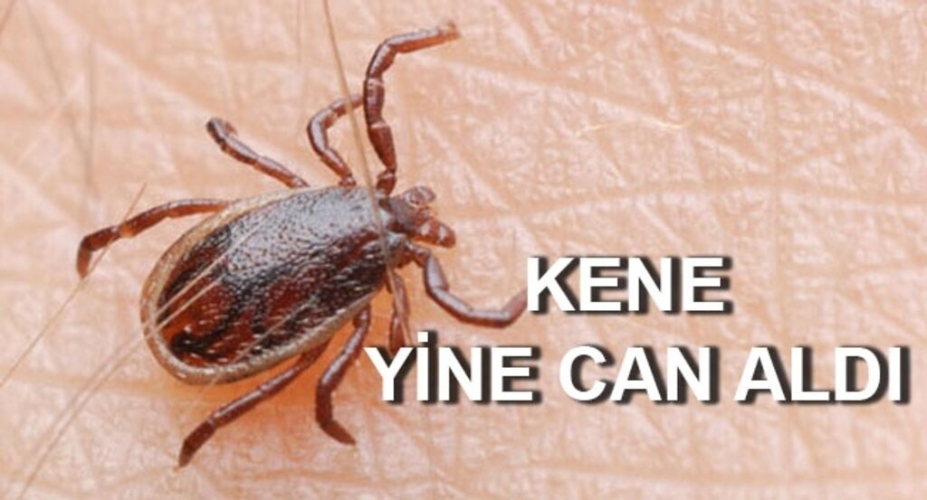 Samsun'da KKKA hastalığından ölüm