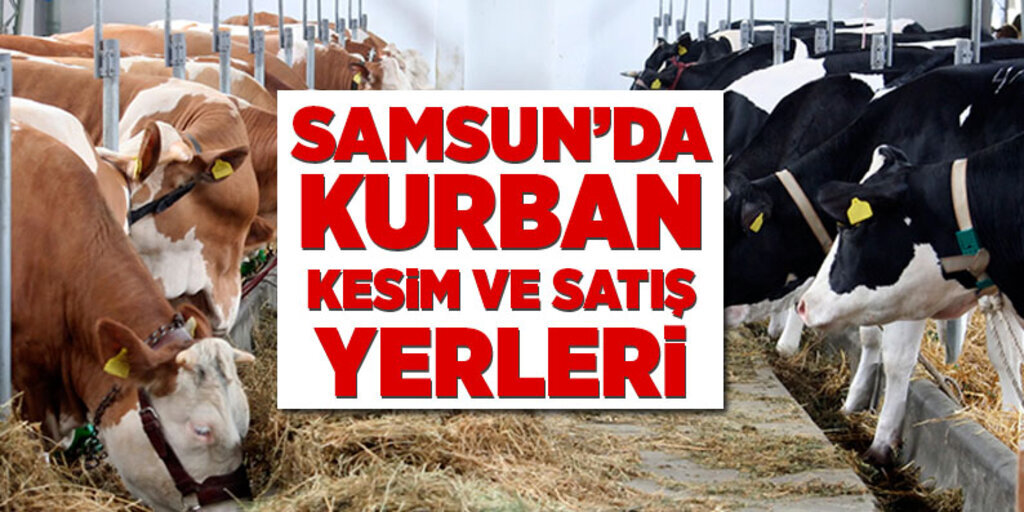Samsun'da kurban satış yerleri