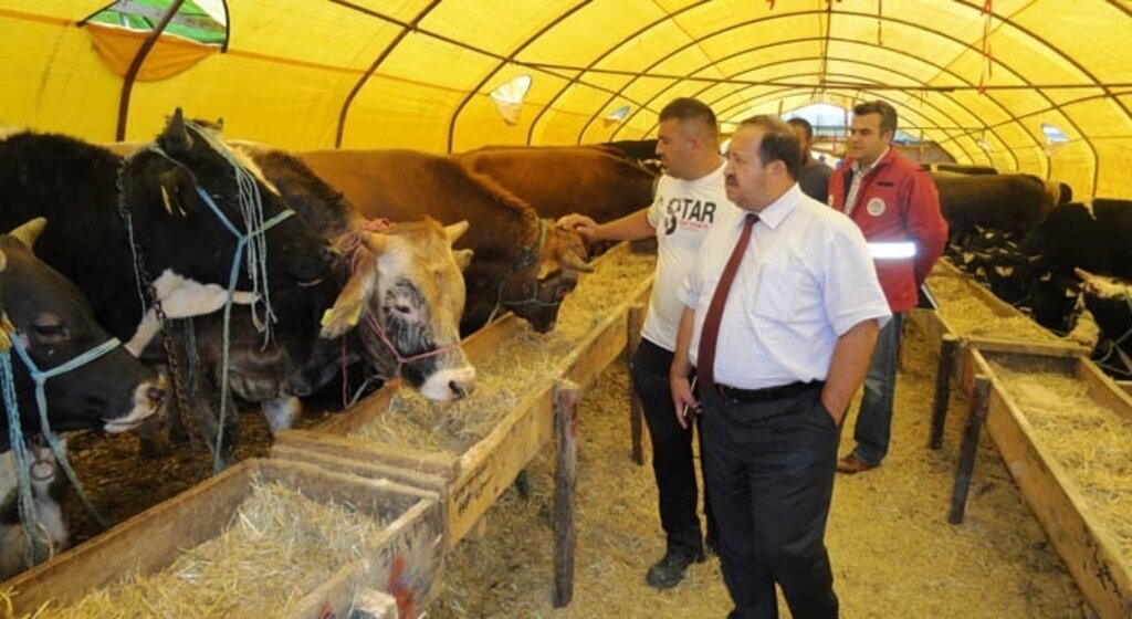 Samsun'da Kurbanlık Hayvan Pazarları Denetlendi