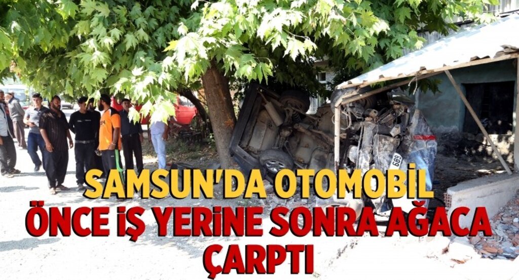 Samsun'da otomobil iş yerine ve ağaca çarptı: 1 yaralı