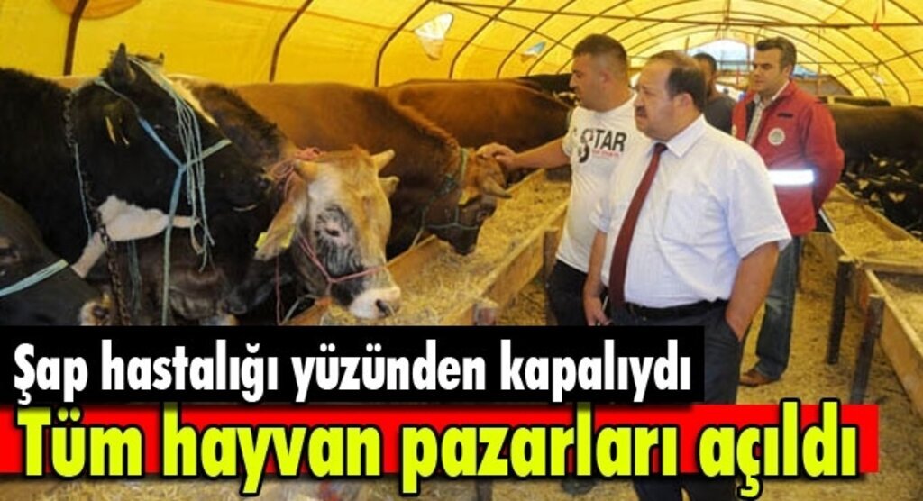 Samsun'da tüm hayvan pazarları açıldı
