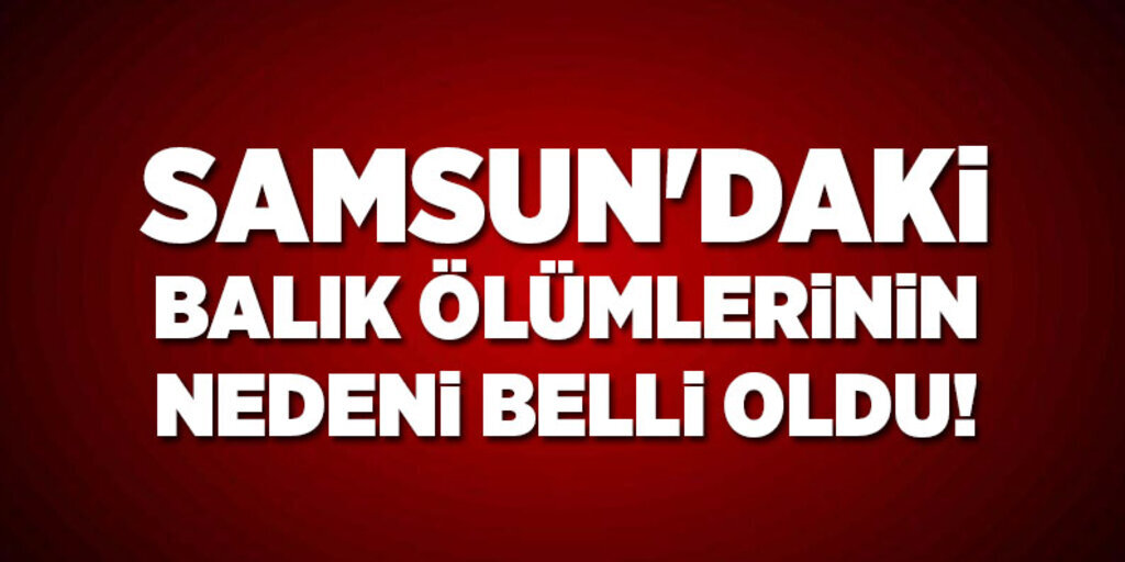 Samsun'daki balık ölümlerinin nedeni belli oldu!