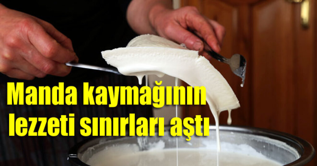 Samsun'dan Avrupa'ya Manda kaymağı