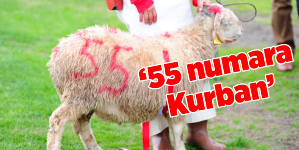 Samsunspor kötü gidişe dur demek için kurban kesti