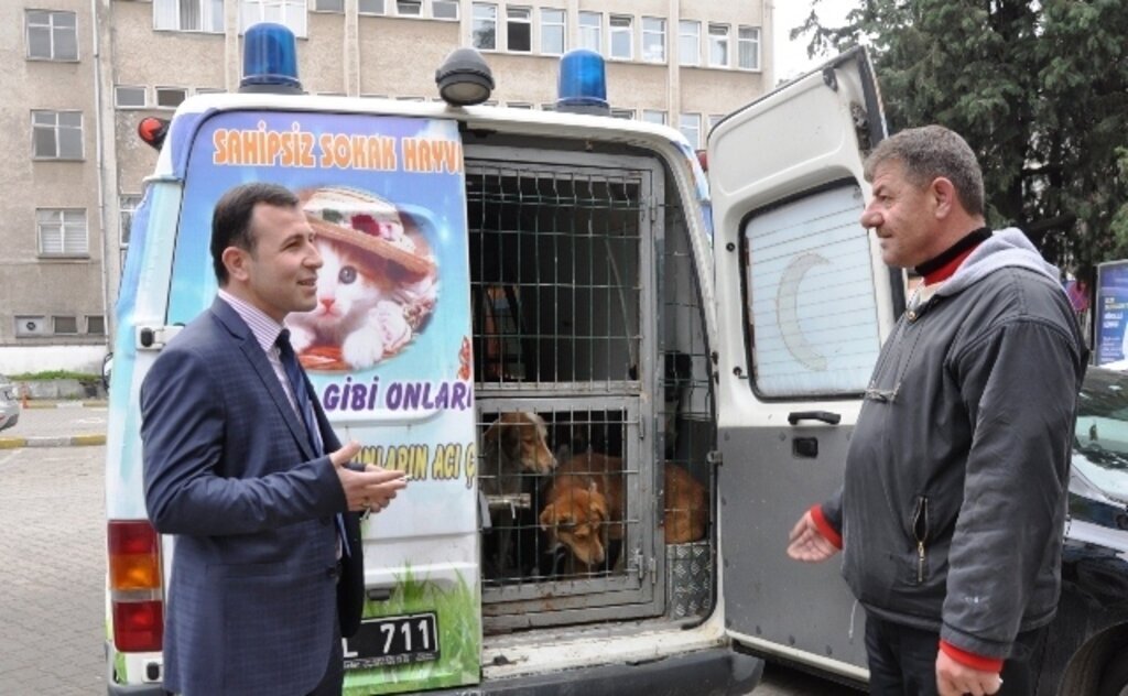 Sokak Hayvanlarına Terme Belediyesince Rekor Müdahale