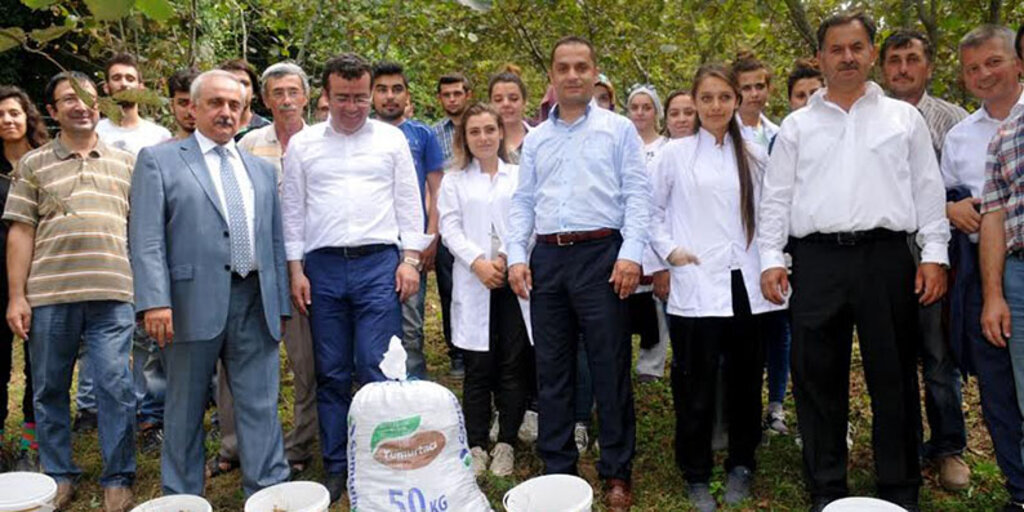 Stajyer Ziraat Öğrencileri fındık topladı