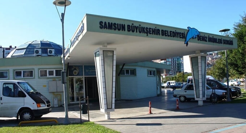 Taze balık, ucuz fiyat