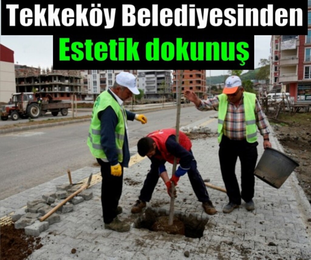 Tekkeköy Belediyesi İlçeyi Yeşillendiriyor