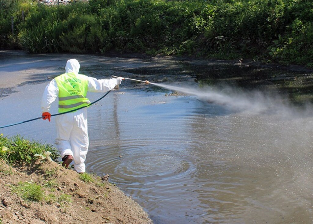 Tekkeköy Belediyesi Karasinek ve Sivrisineklerle Mücadele ediyor