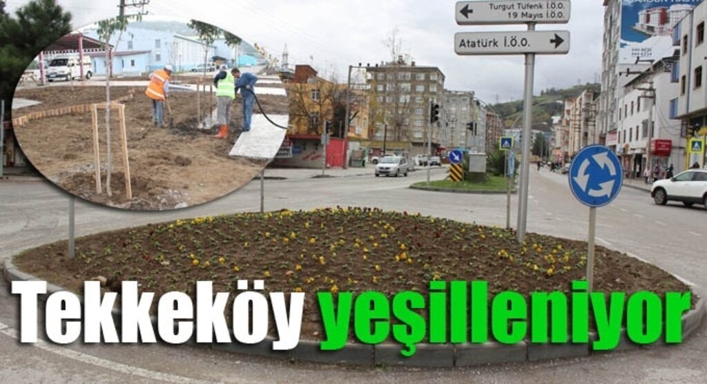 Tekkeköy Belediyesi bin fidan dikti