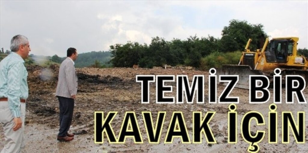 Temiz Bir Kavak İçin