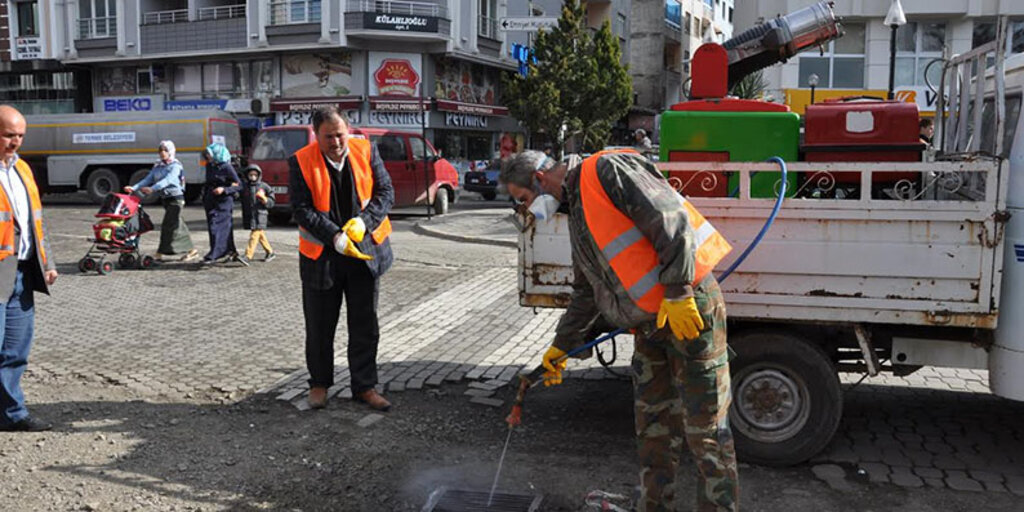 Terme Belediyesi haşereye savaş açtı
