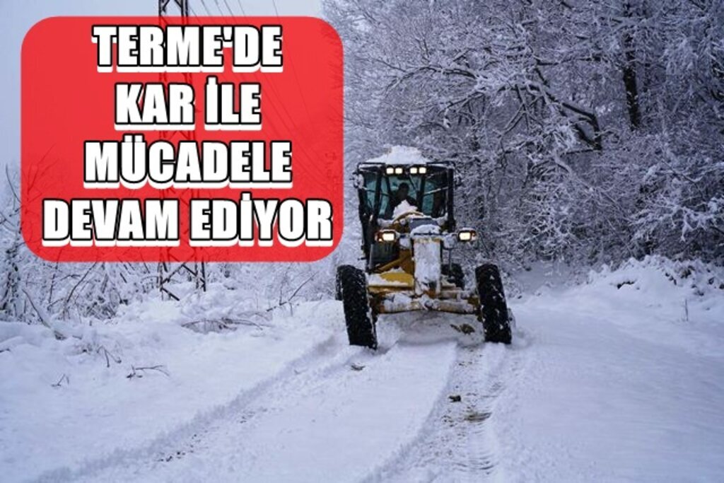 Terme Belediyesi Sokak Hayvanlarını'da Unutmadı