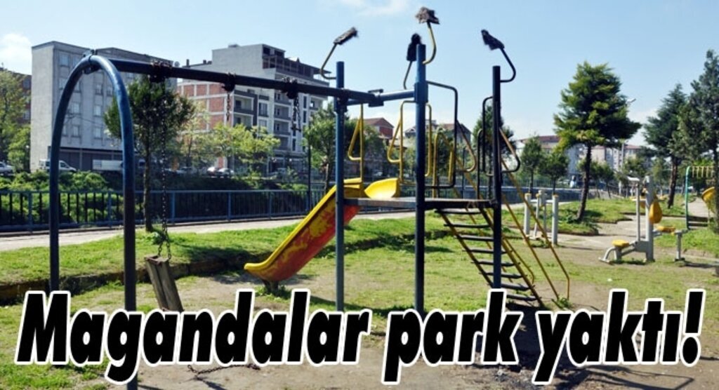 Terme’de Çocukların Mutluluğunu Yaktılar