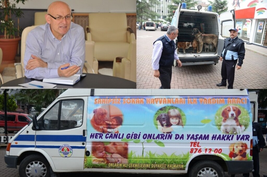 Terme’de Sokak Hayvanlarına Acil Yardım