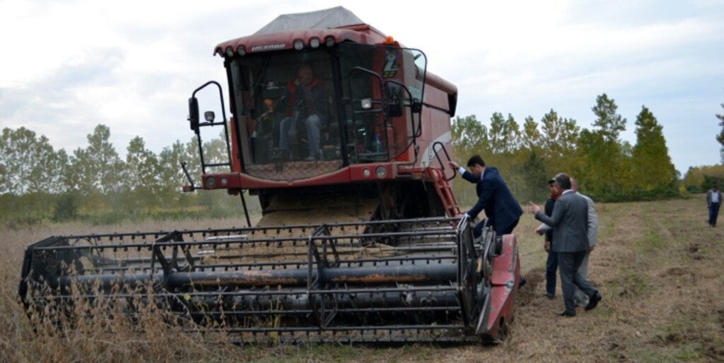 Terme'de Soya Tarla Günü 