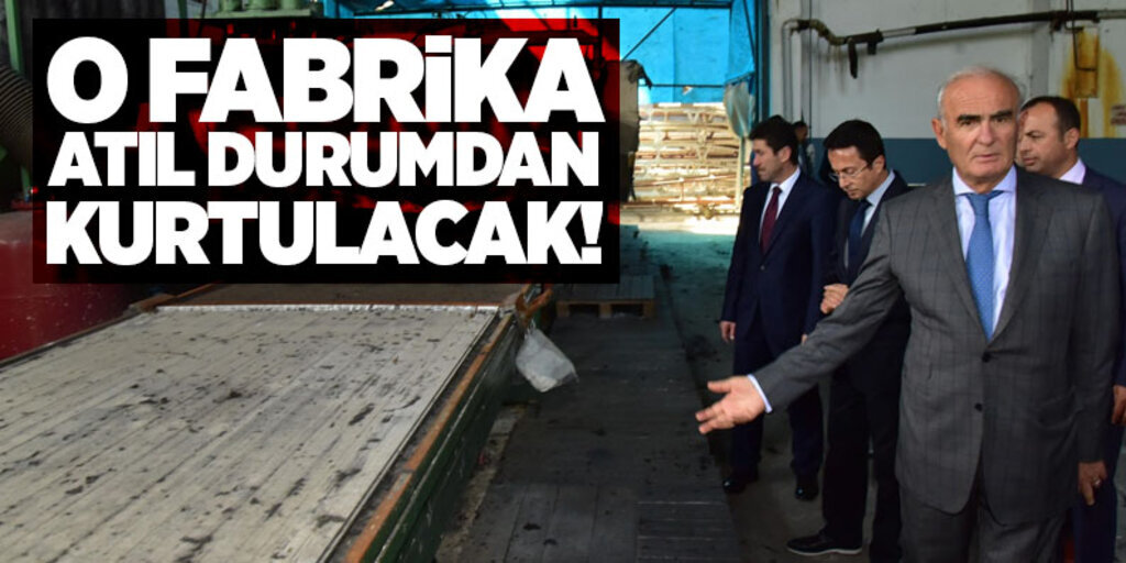 Terme’ye yeniden istihdam kapısı olacak