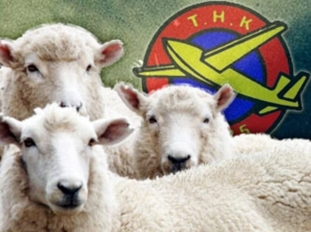 THK, Görele'de 411 deri topladı