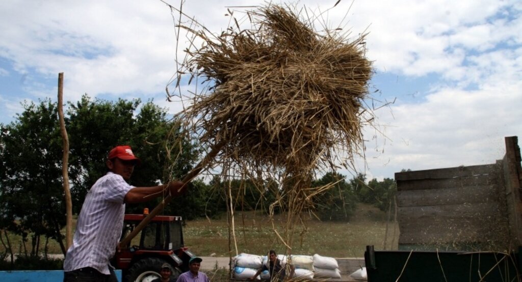 Türkiye'nin hayvansal yem açığı artıyor