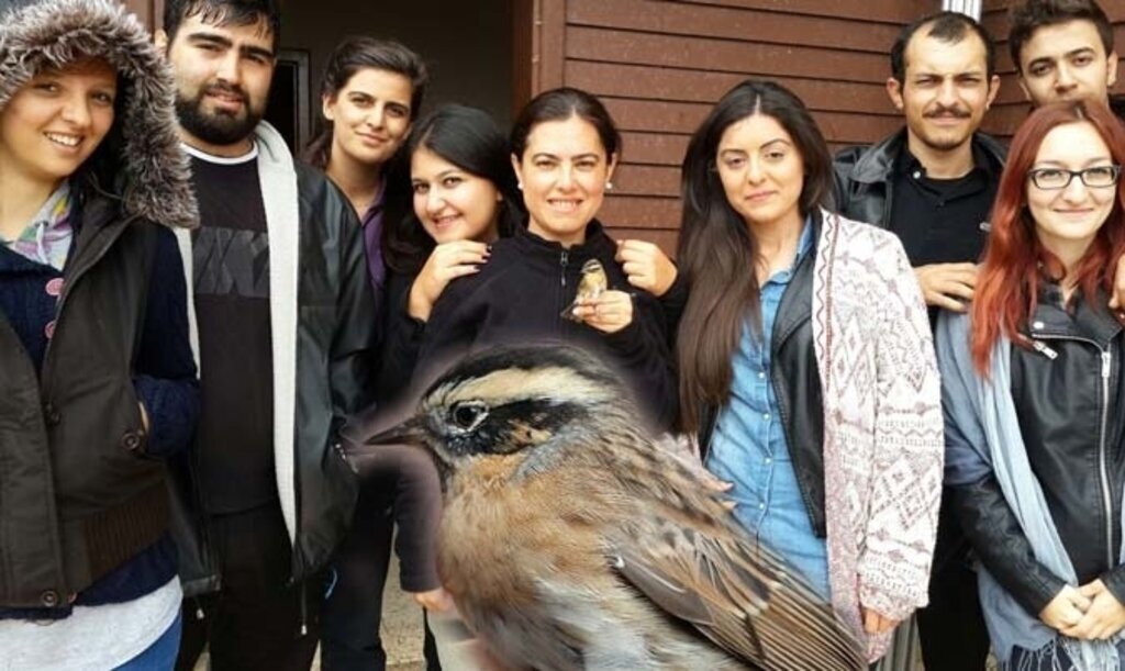 Türkiye'nin yeni bülbülü Kızılırmak'ta keşfedildi