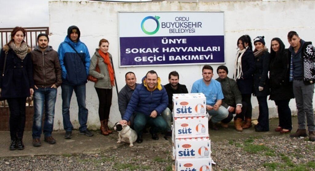 Ünye'de bir grup genç sahipsiz hayvanlar için toplandı