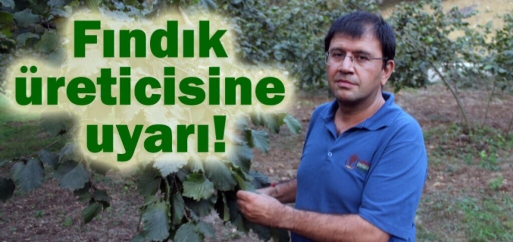 Üreticiye Uyarı: Fındıkları topladıktan sonra bahçeler terk edilmesin!