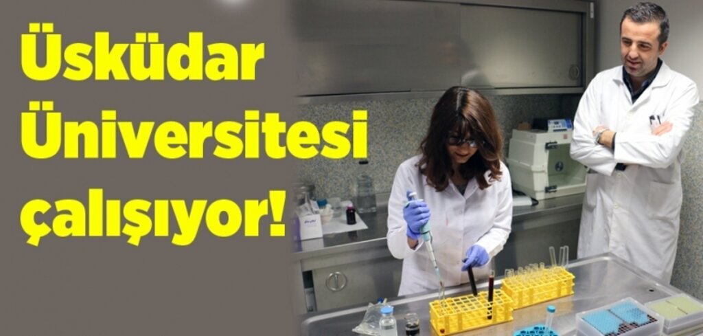 Üsküdar Üniversitesi'nden zika virüsüne karşı büyük adım