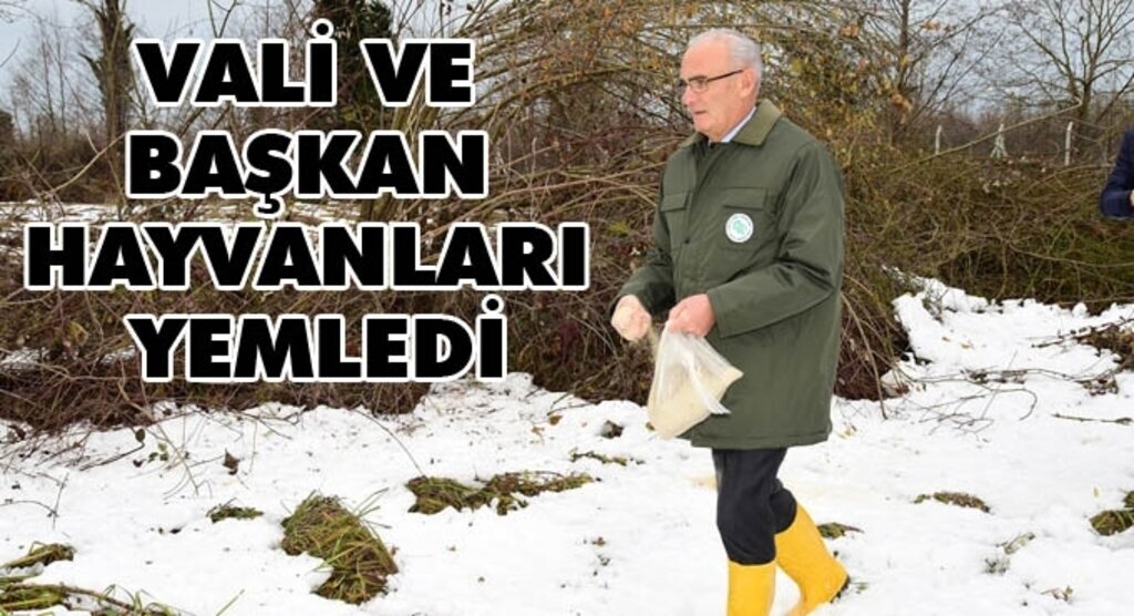 Vali Şahin ve Başkan Yılmaz hayvanları yemledi