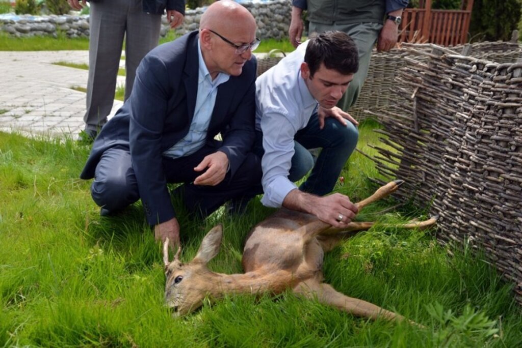 Yaralı Karaca'ya Terme Belediyesi’nden yardım eli