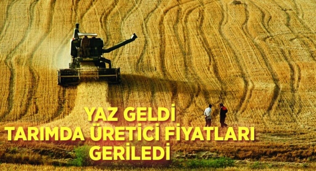 Yaz geldi tarımda üretici fiyatları geriledi