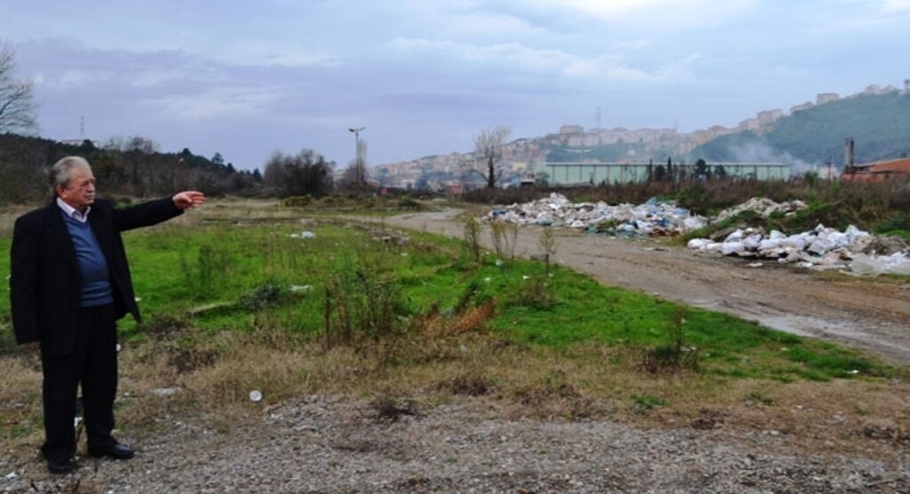 Zonguldak'ta kurulacak entegre tesis, organik fındık ihracatını arttıracak