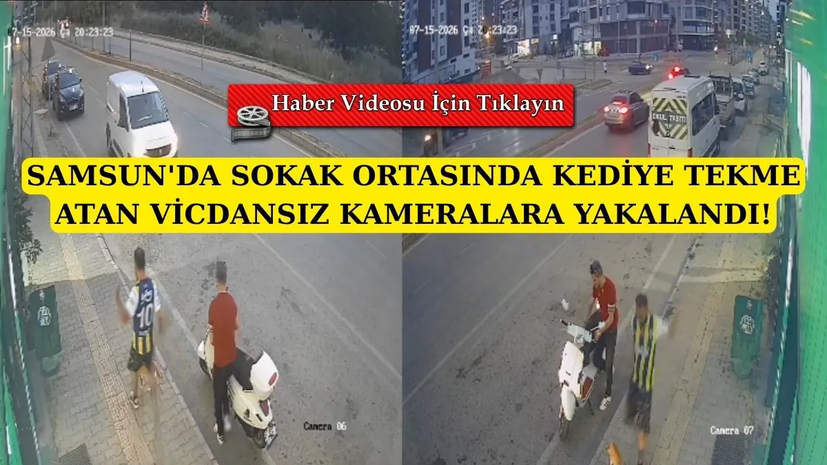 Samsun'da kediyi tekme ile savuran vicdansız kameralara yakalandı