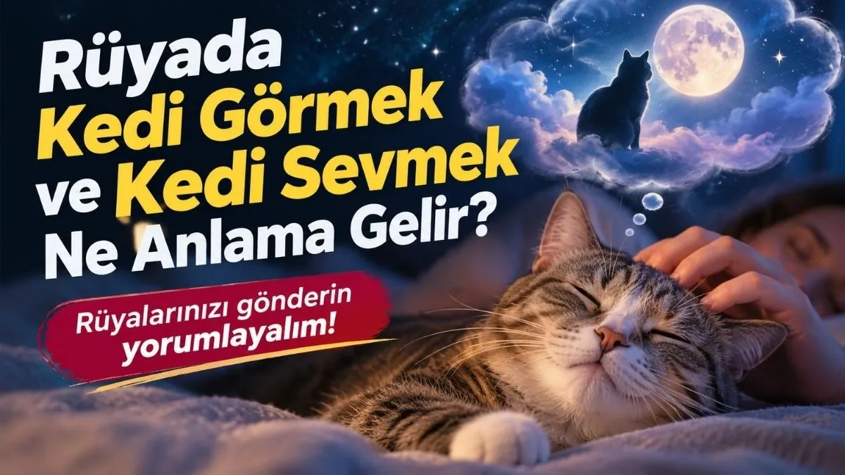 Rüyada Kedi Görmek ve Kedi Sevmek Ne Anlama Gelir?