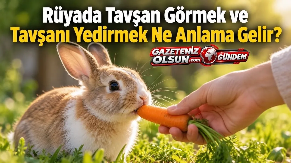 Rüyada Tavşan Görmek ve Tavşanı Yedirmek Ne Anlama Gelir? İşte Rüya Tabiri