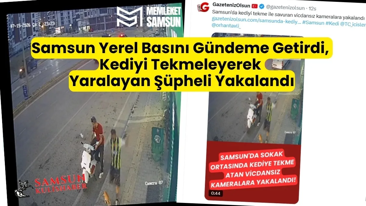 Samsun Yerel Basını Gündeme Getirdi, Kediyi Tekmeleyerek Yaralayan Şüpheli Yakalandı